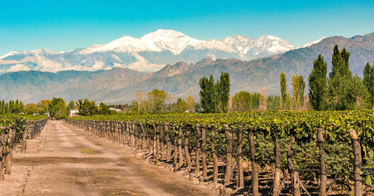 Mendoza wine region