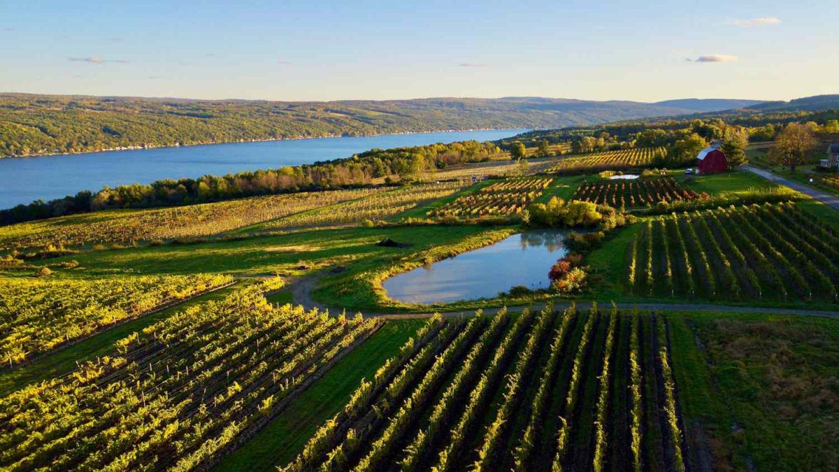 Best Seneca Lake Wineries