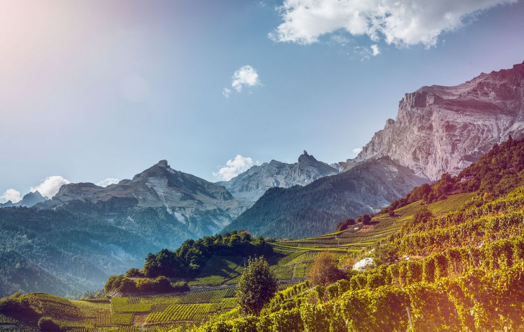 Valais wine region