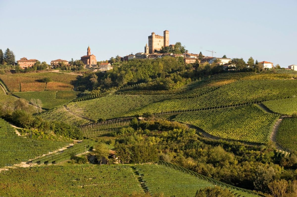 Vietti winery