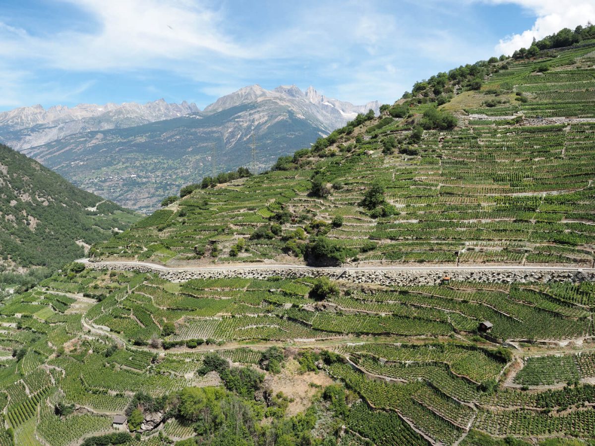 Swiss-Wine-Visperterminen-Heida-Wine-Hike