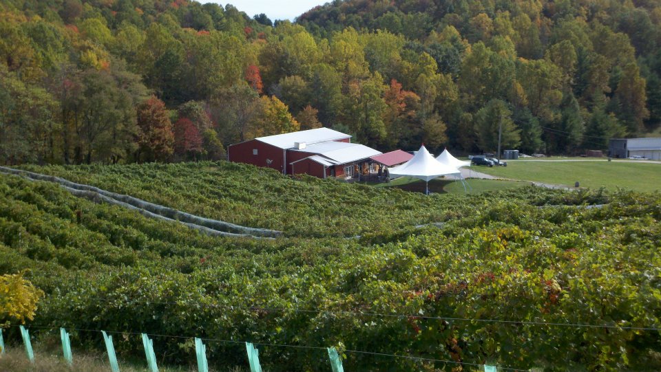 Image of AmRhein Wine Cellars