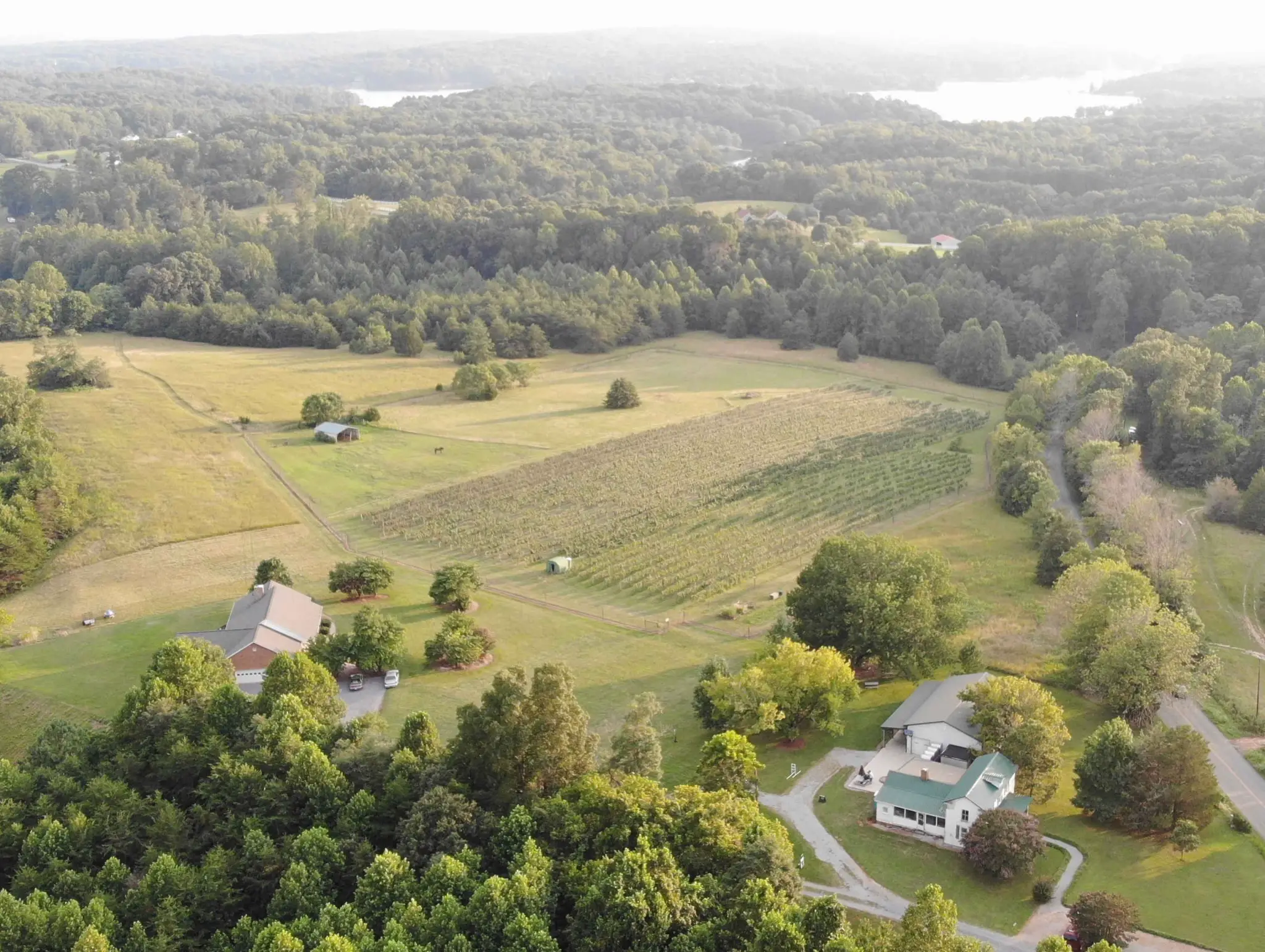 Image of Hickory Hill Vineyards