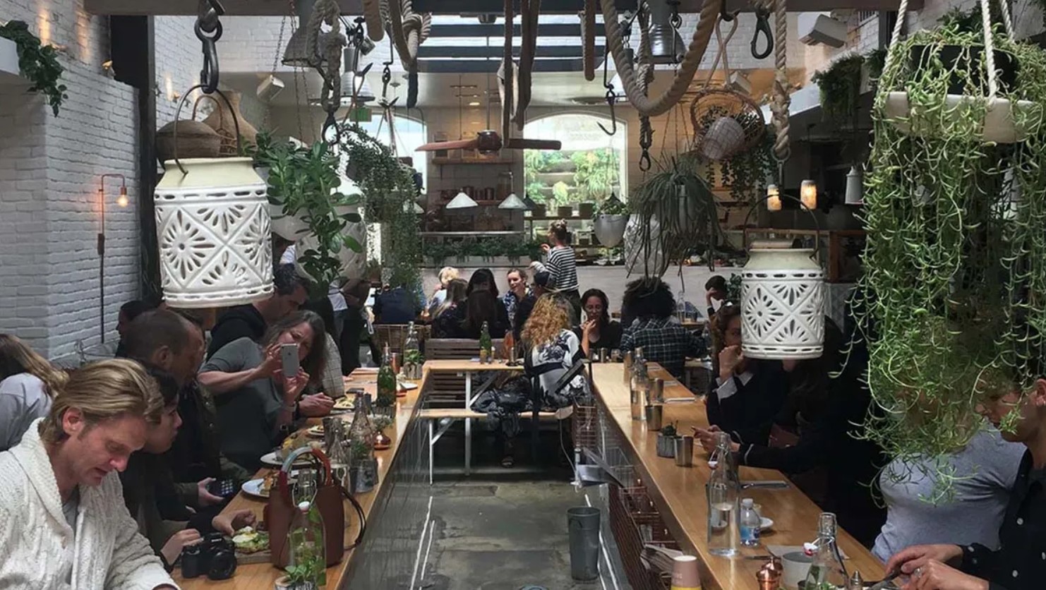 Image of interior of The Butcher's Daughter restaurant in Venice