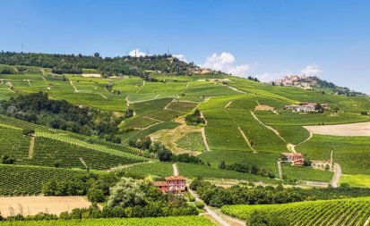 Featured image of Langhe vineyards panoramic view by Langa wine tour agency