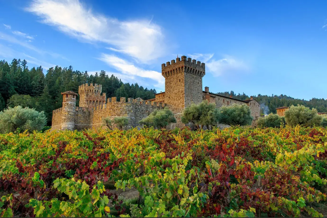 Image of Castello di Amorosa winery in Napa Valley