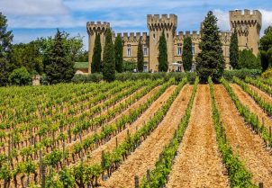 featured image of Hostellerie Château des Fines Roches vineyard and hotel view