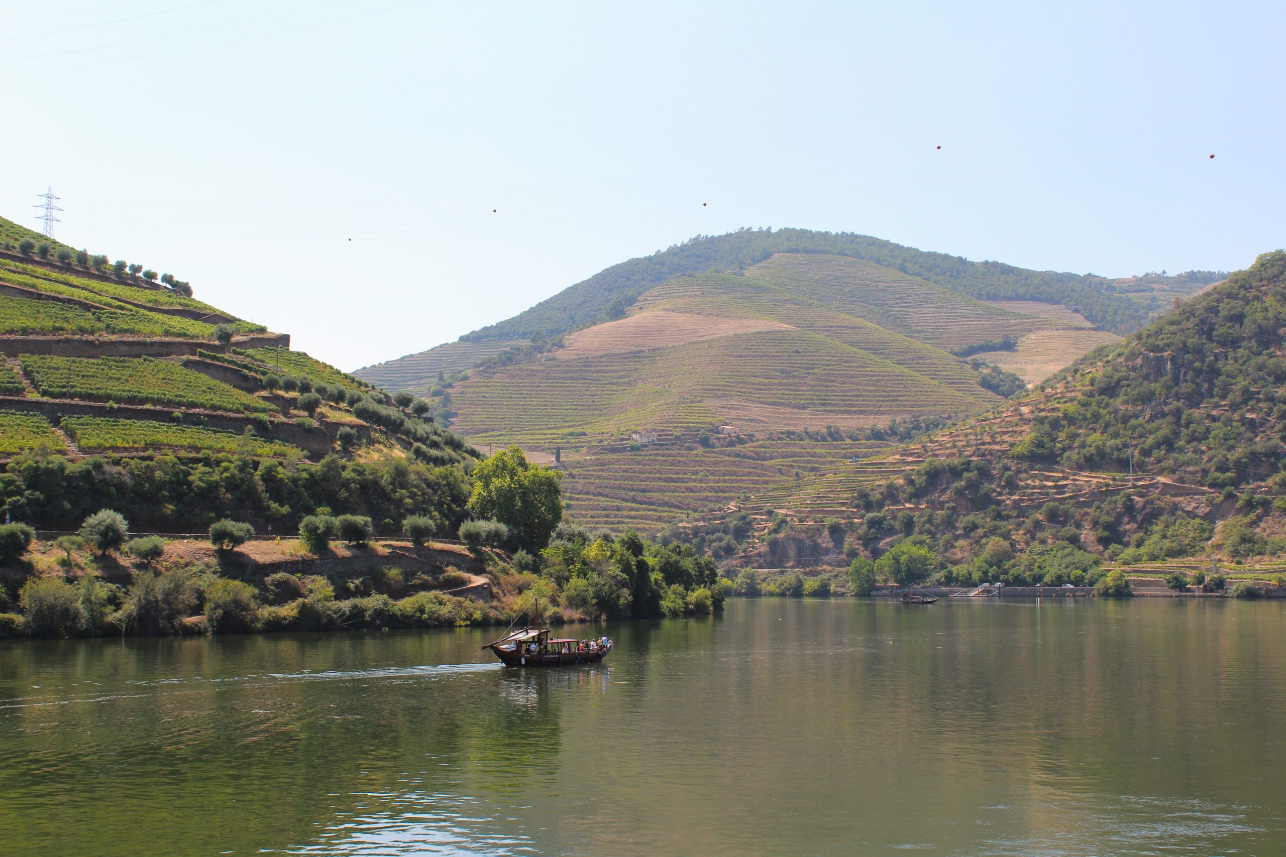 Image of a Douro Valley in Pinhão by Rui Alves, Unsplash