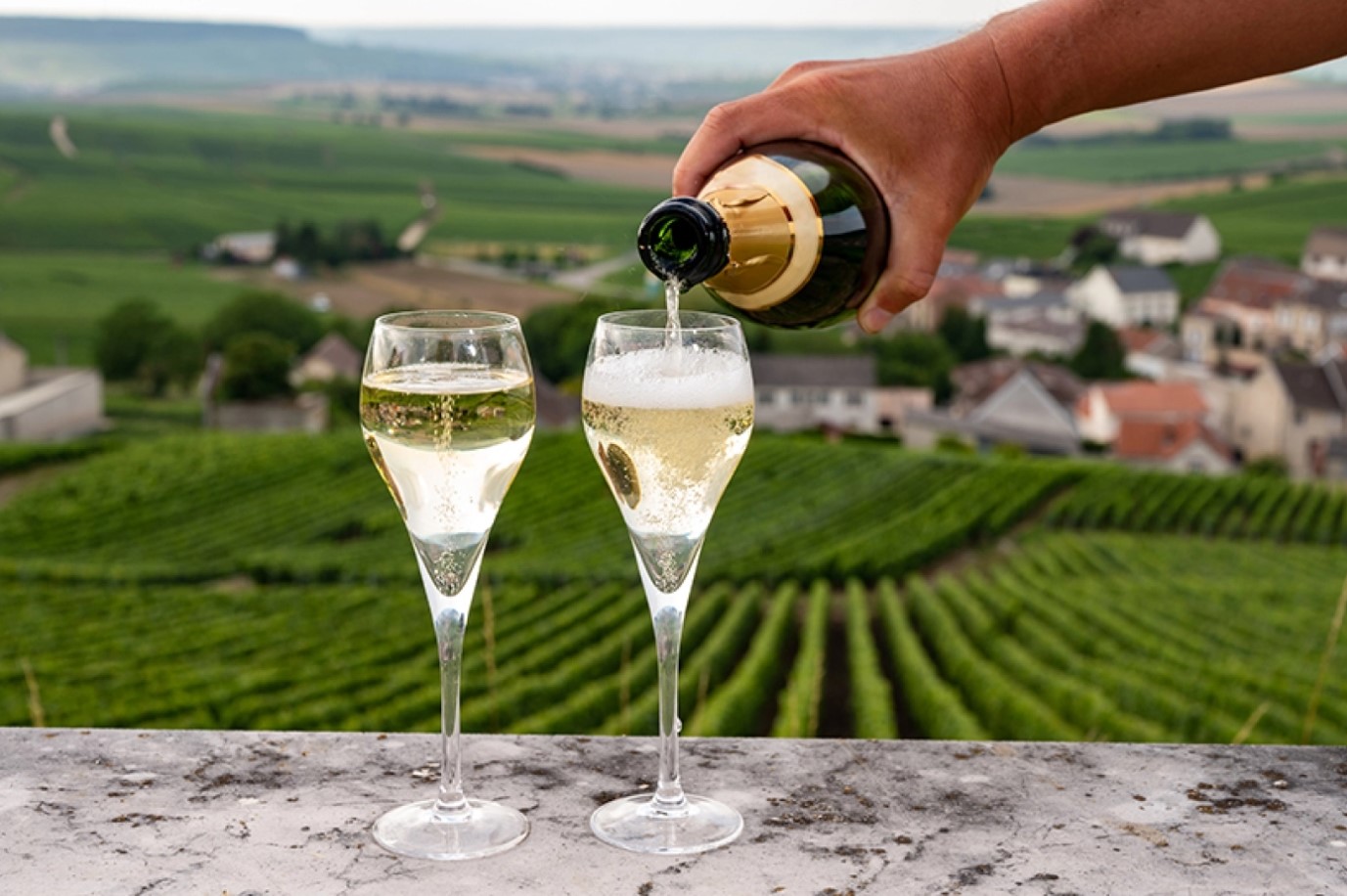 Image of champagne wine being poured into a wine glass with panoramic view of the vineyards