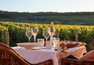 Image of a panoramic view of the Champagne vineyards from the terrace of Chateau de Sacy