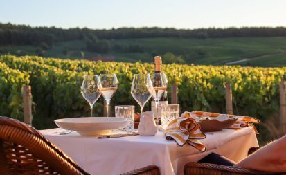 Image of a panoramic view of the Champagne vineyards from the terrace of Chateau de Sacy