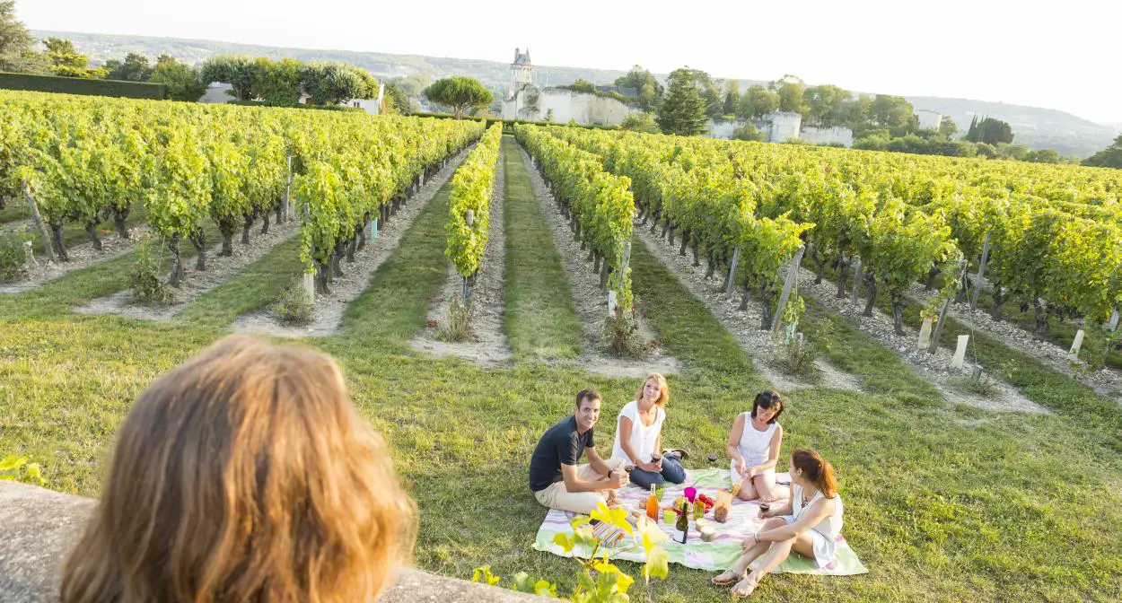 Image of a group wine tasting in French vineyard