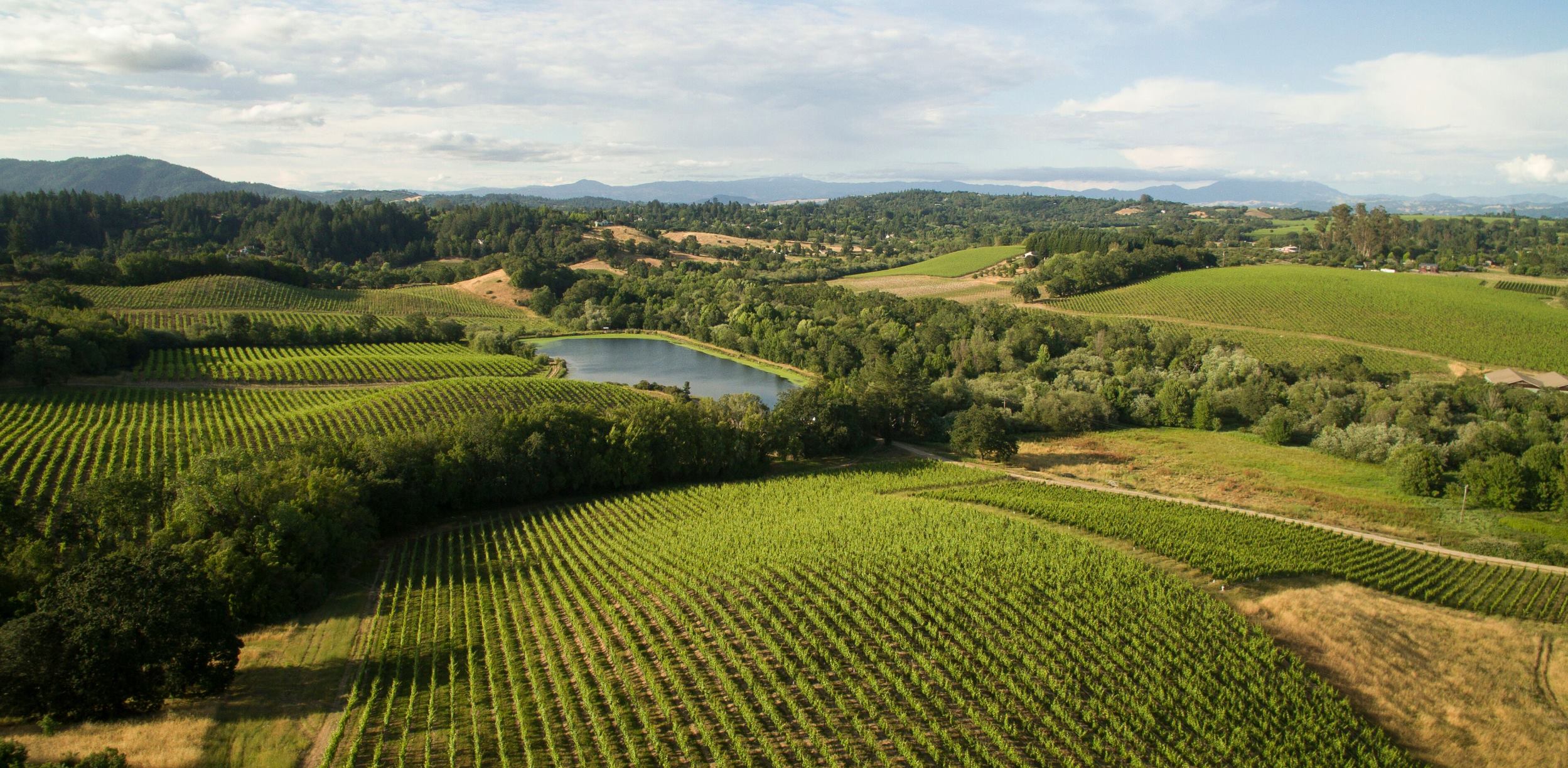 Image of a panoramic view of Iron Horse Vineyards