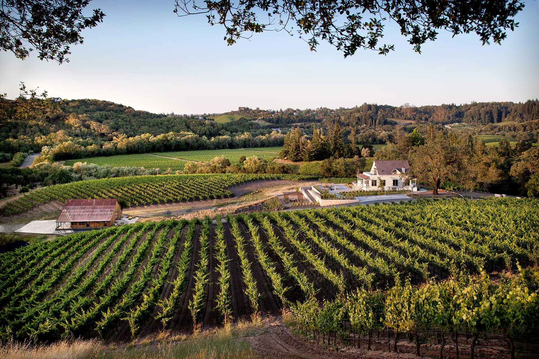 Image of a panoramic view of Kistler Vineyards winery