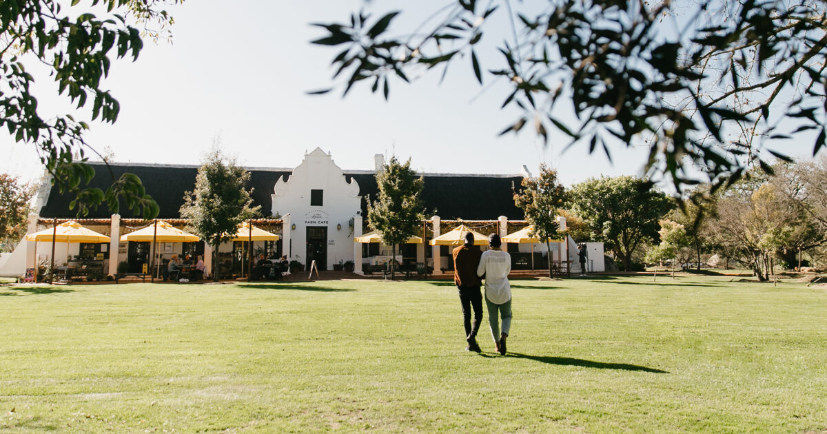 Spier wine farm featured image