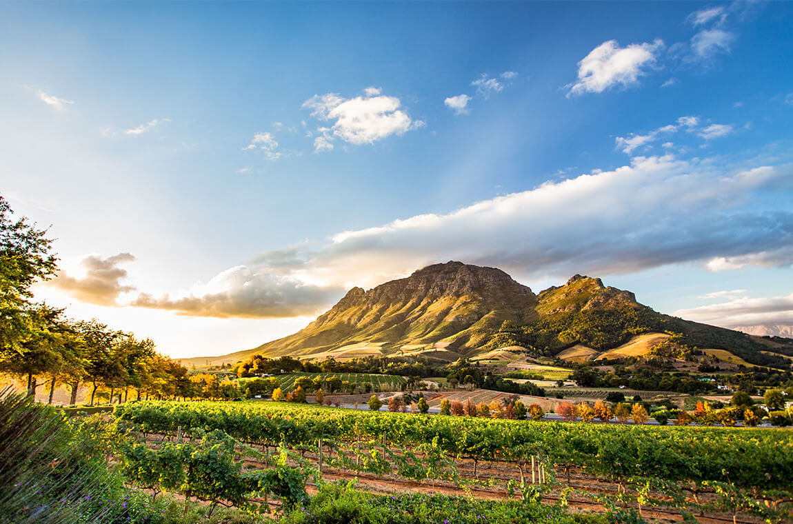 Featured image of Stellenbosch