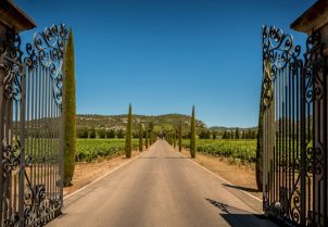 featured image of the entrance to Chateau d`Estoublon