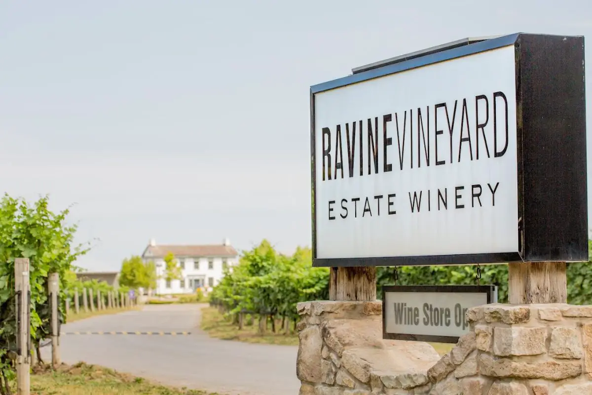 Outdoor image of Ravine Vineyard Estate Winery