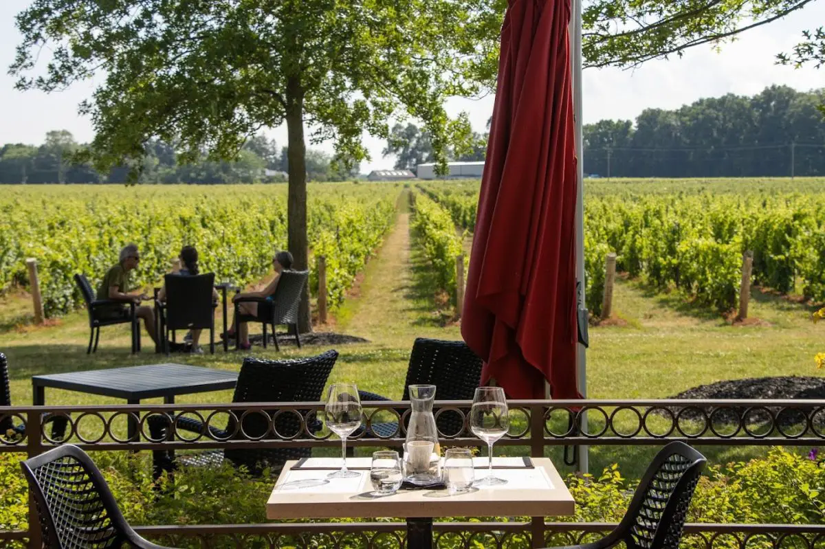 Outdoor setting of Two Sisters Vineyard Winery