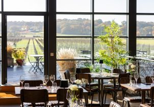 featured image from the restaurant of Balfour Winery