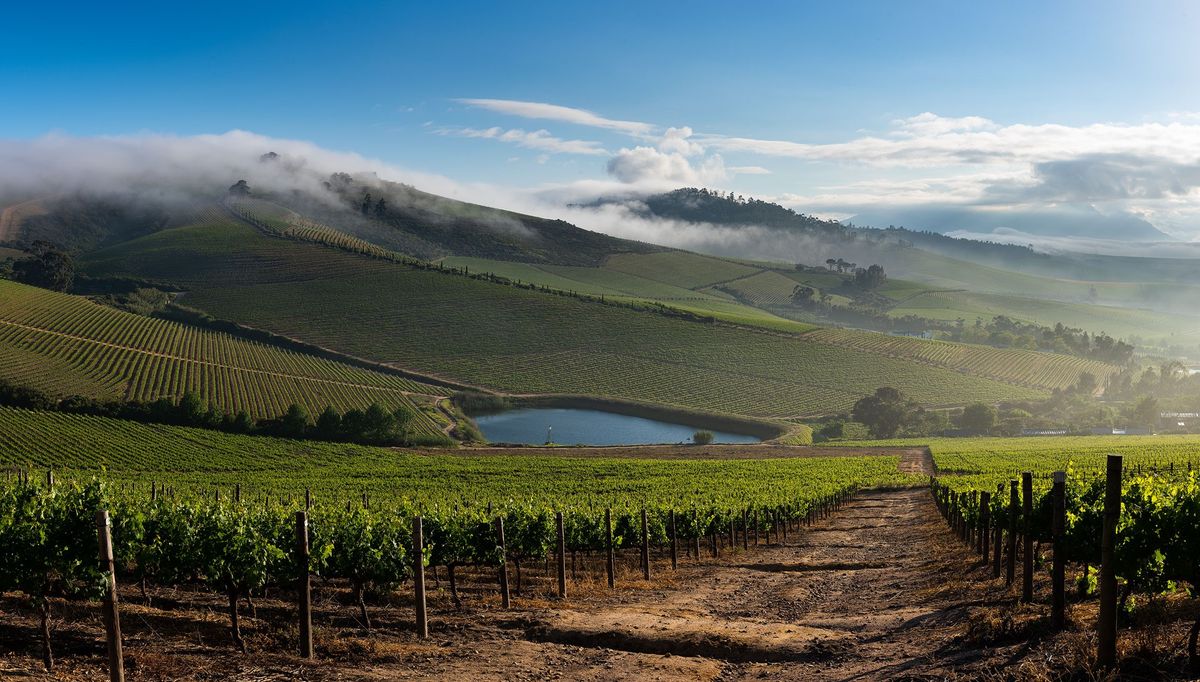 Image of Jordan Wine Estate