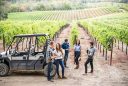 A group of friends at the vineyard of Hess Persson Estates