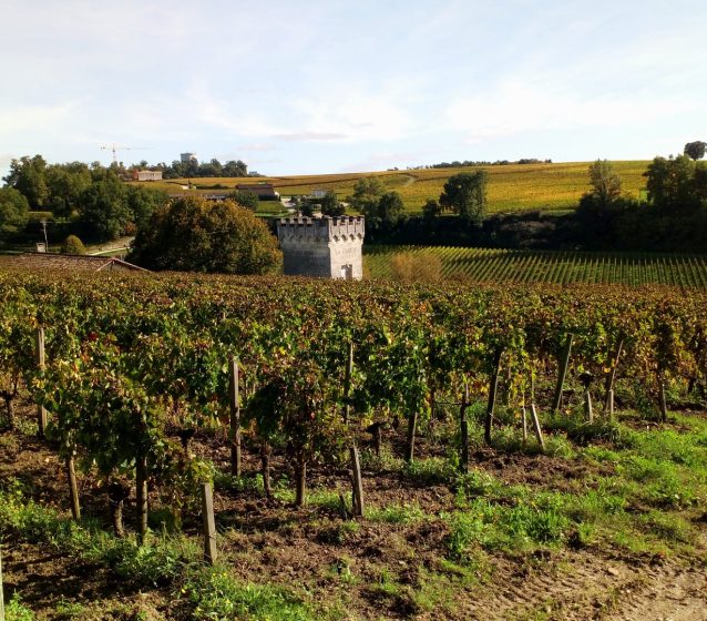 Featured image by blancalml from Pixabay, Saint Emilion vineyard view