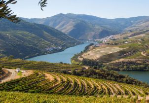 featured image Quinta de Ventozelo panoramic Douro view