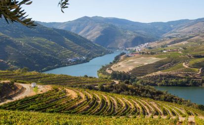featured image Quinta de Ventozelo panoramic Douro view